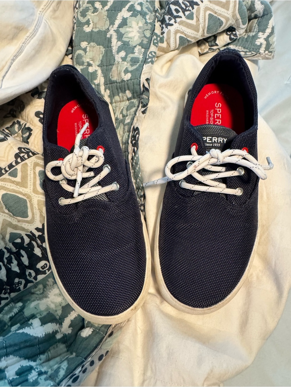 Sperry boys Navy Canvas Casual Boat Sneakers with White Laces